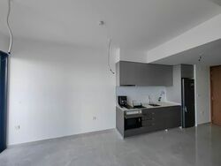 Stirling Residences (D3), Apartment #584382291